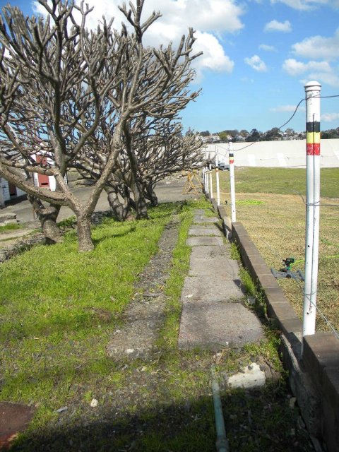 Koori colours, Cockatoo Island